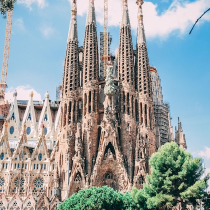 Gallery - Toc Ramblas