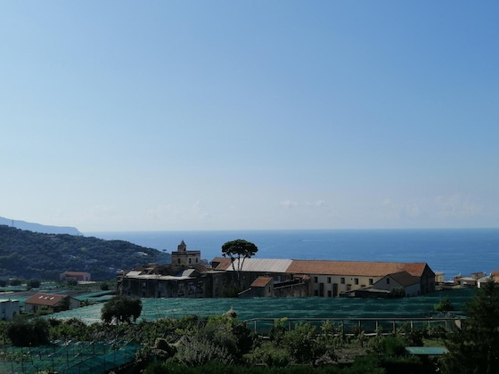 Gallery - Hotel La Primavera