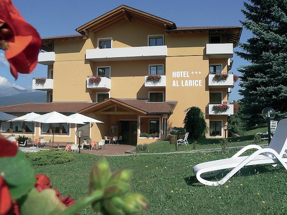 Gallery - Hotel e Appartamenti Al Larice