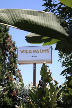Gallery - Wild Palms Hotel