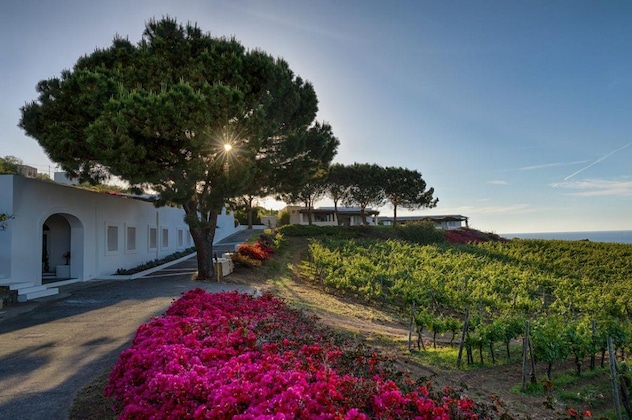 Gallery - Capofaro Locanda & Malvasia