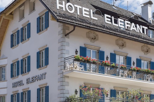 Gallery - Elefant
