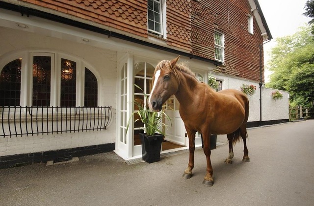 Gallery - Moorhill House Hotel