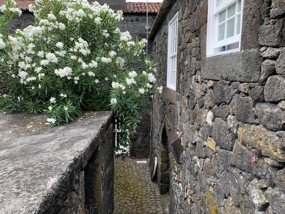 Gallery - Casa Das Barcas