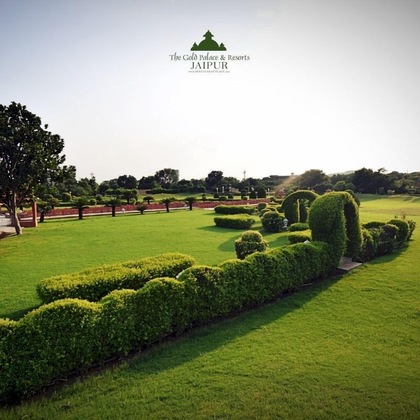 Gallery - The Gold Palace & Resorts