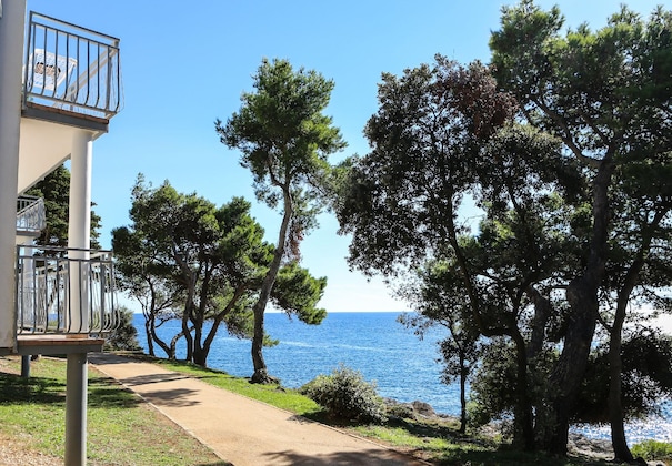 Gallery - Arena Verudela Beach