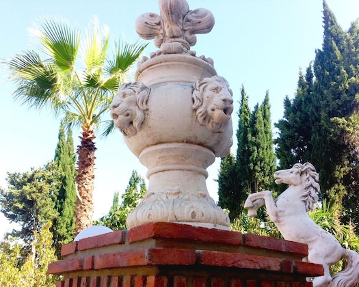 Gallery - Hotel Boutique Villa Erina By Bossh Hotels - Adults Recommended