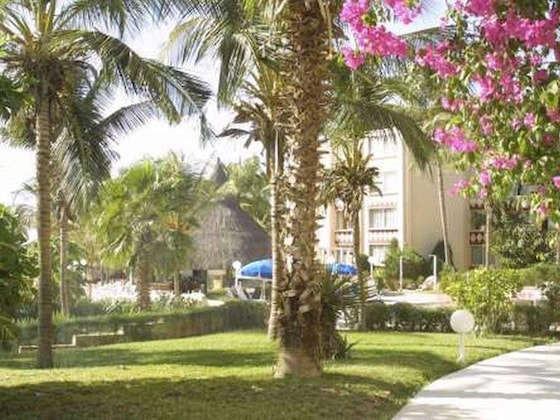 Gallery - Palm Beach