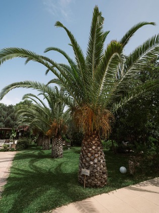 Gallery - Flow Datca Surf & Beach Hotel