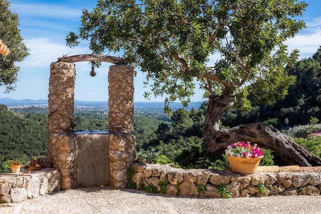 Gallery - Finca Hotel Albellons Parc Natural