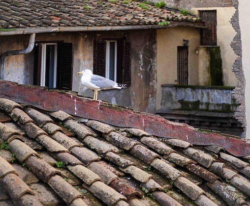Gallery - Casa De' Fiori