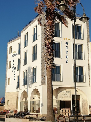 Gallery - Blue Moon Hotel