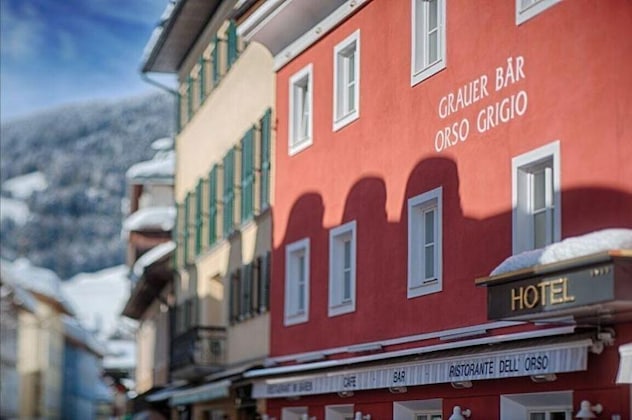 Gallery - Grauer Bär