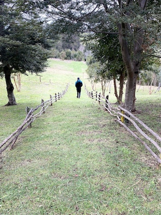 Gallery - Parque Quilquico