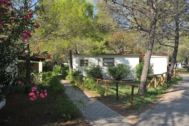 Gallery - Villaggio Capo Vieste Camping