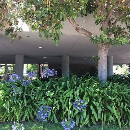 Gallery - Cupertino Hotel