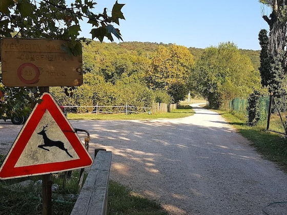 Gallery - Musella Winery & Relais
