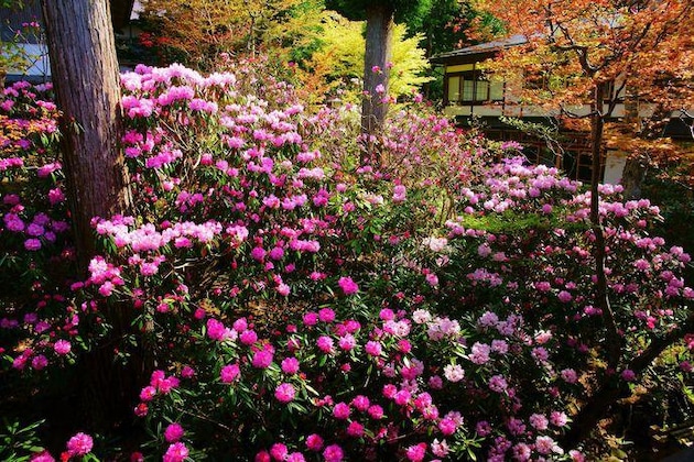 Gallery - Koyasan Syukubo Ekoin