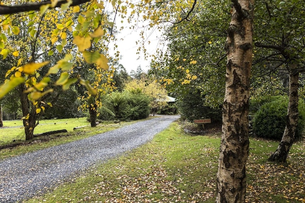 Gallery - Cradle Forest Inn