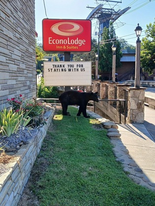 Gallery - Econo Lodge Inn & Suites On The River