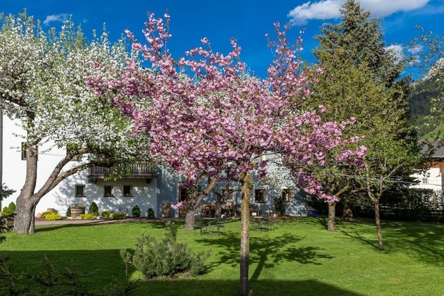 Gallery - Residence Mitterdorfer