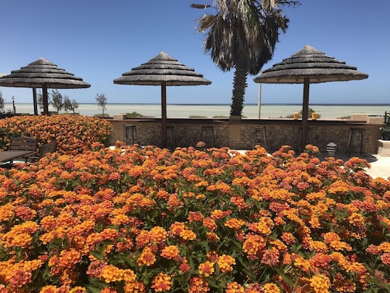 Gallery - Shark Bay Seafront Apartments