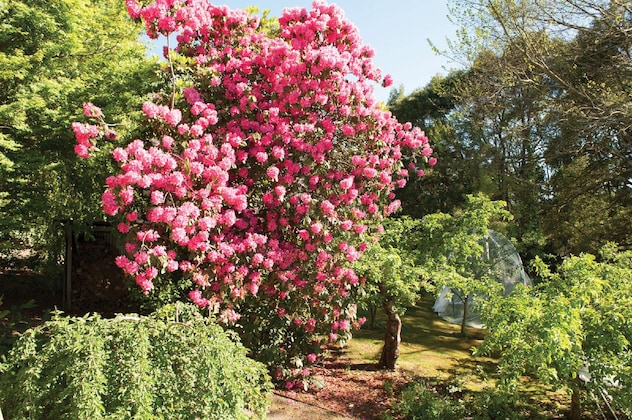 Gallery - Woolrich Historic Garden Cottage