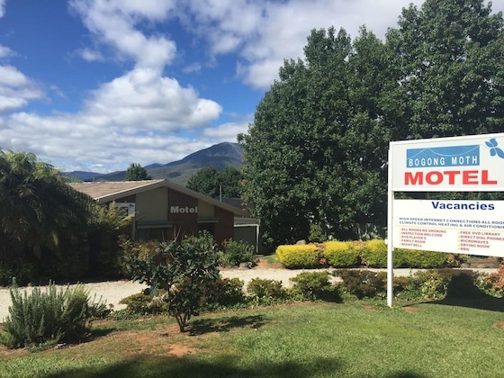 Gallery - Bogong Moth Motel