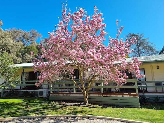 Gallery - Golden Heritage Apartments Beechworth