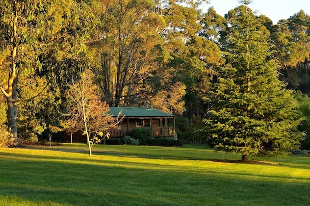 Gallery - Diamond Forest Farm Stay