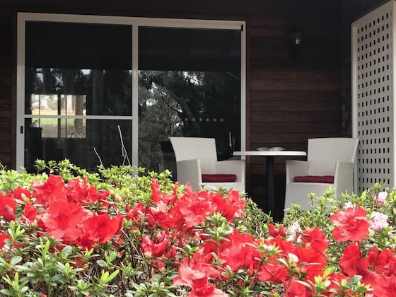 Gallery - Forest Lodge Resort