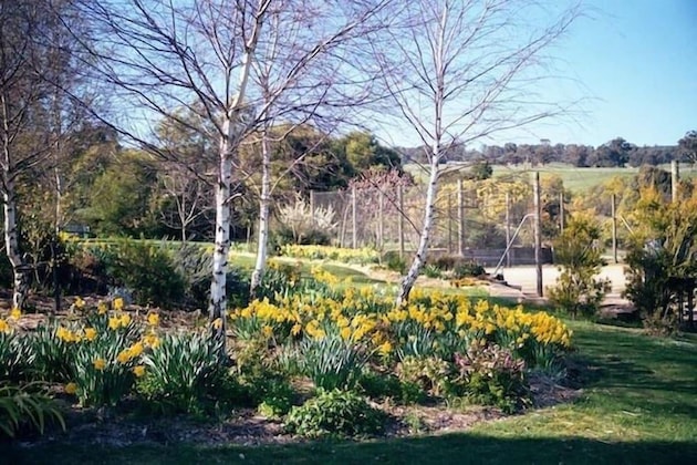Gallery - Wombat Hills Cottages