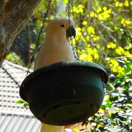 Gallery - Bowral Road Bed And Breakfast