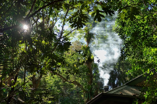 Gallery - Narrows Escape Rainforest Retreat