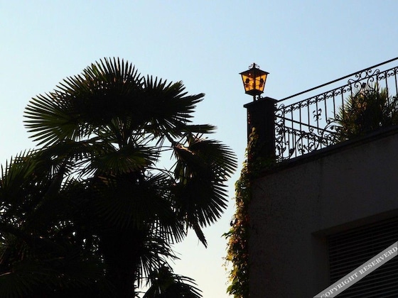 Gallery - Ascovilla
