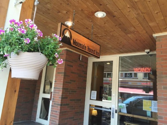 Gallery - Mountain Hound Inn