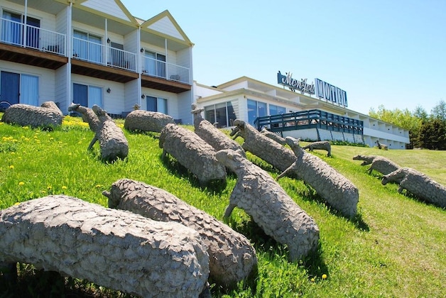 Gallery - Mon Joli Motel