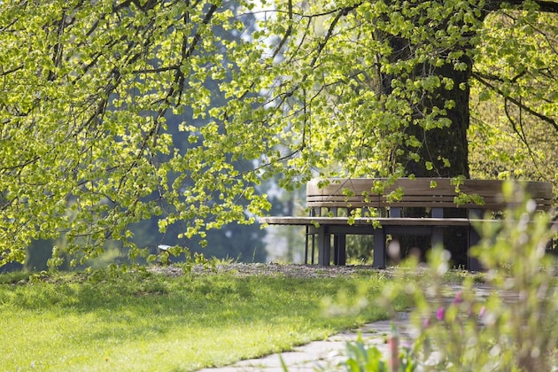 Gallery - Oberwaid - Das Hotel. Die Klinik.