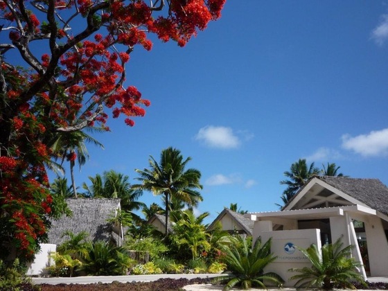 Gallery - Little Polynesian Resort