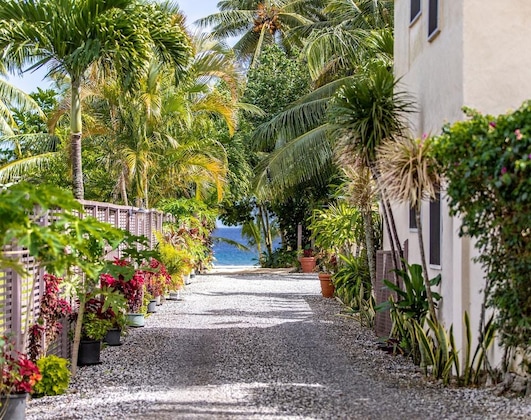 Gallery - Coral Sands Apartments