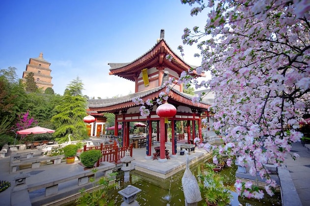Gallery - Tang Dynasty Art Garden Hotel