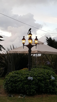 Gallery - Casa Mosaico Hotel Boutique