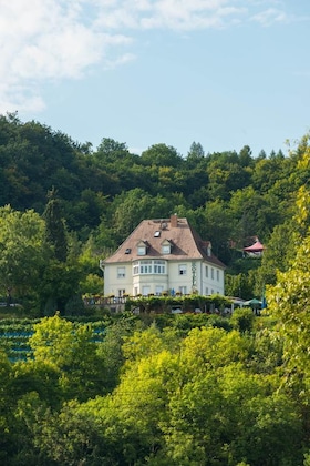 Gallery - Flair Hotel Villa Ilske