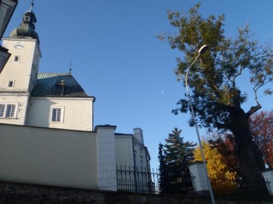 Gallery - Hotel & Caffe Silesia
