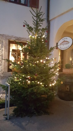 Gallery - Weinstadt-Hotel