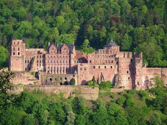 Gallery - Hotel Dachsenfranz