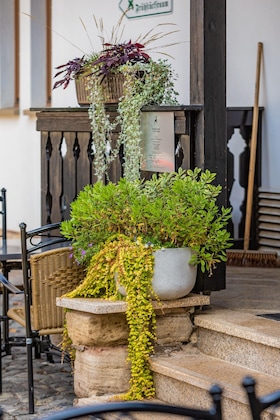 Gallery - Gasthaus Goldener Hirsch