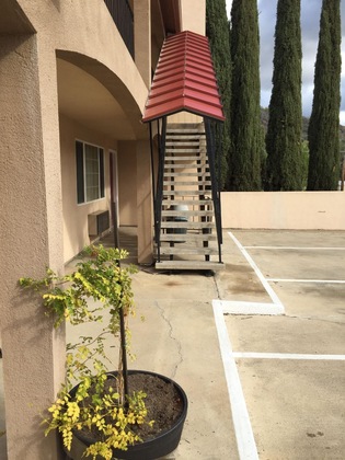 Gallery - The Yosemite Inn