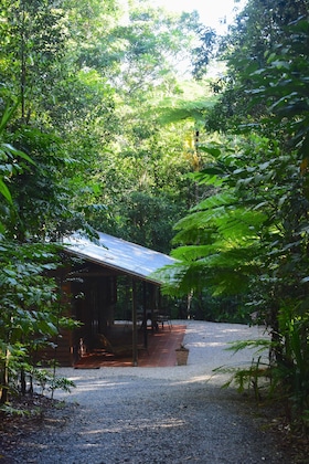 Gallery - Daintree Cascades