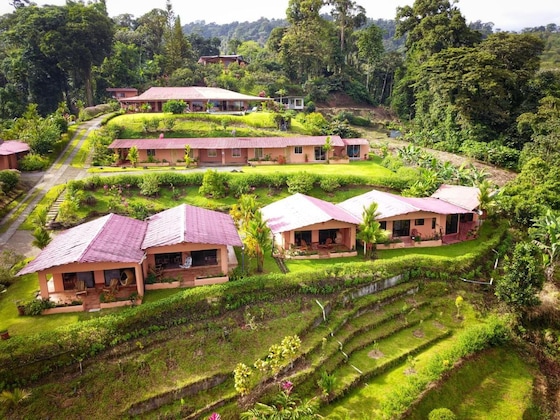 Gallery - Nepenthe B&B